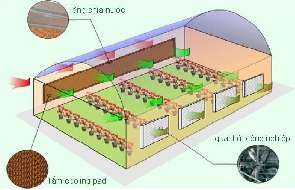 biểu đồ thể hiện sự giảm nhiệt sau khi lắp quạt hút + cooling pad.